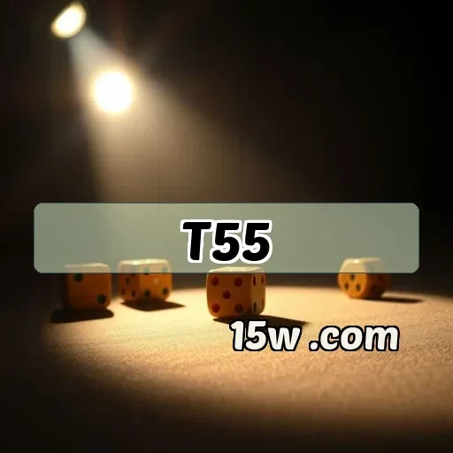 t55.com Segurança