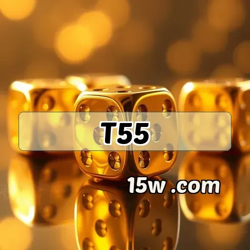 t55.com VIP